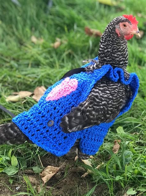 gucci chicken sweater